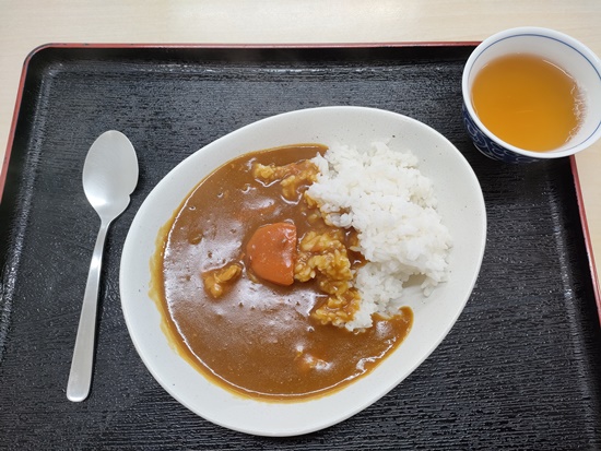 jr_shinkansen_shokudo_curry