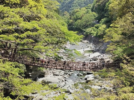 kazura_bridge_iyavalley