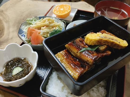 unagi_rice_unachu_toyohashi