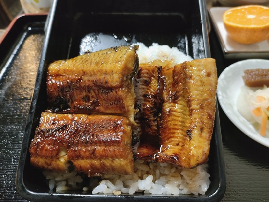 unagi_slice_unachu_toyohashi