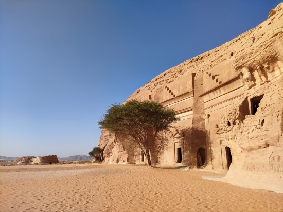 jabal_alBanat_tree