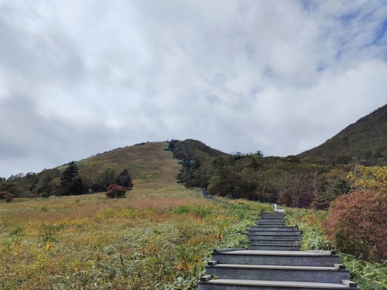 kirifuri_kogen_steps