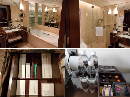 portman_ritz_bathroom