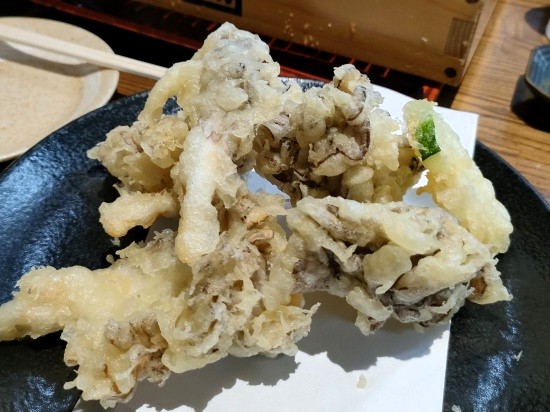 kadoya_minakami_maitaketen