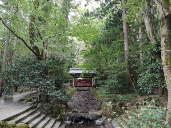yahiko_shrine_tamanohashi