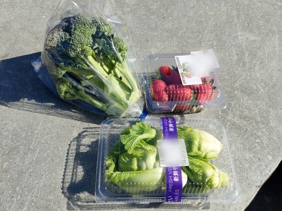 shikino_kura_vegitable