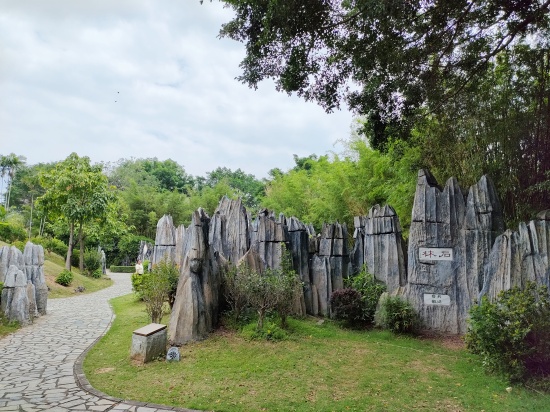 stone_forest_yunnan_province_sc