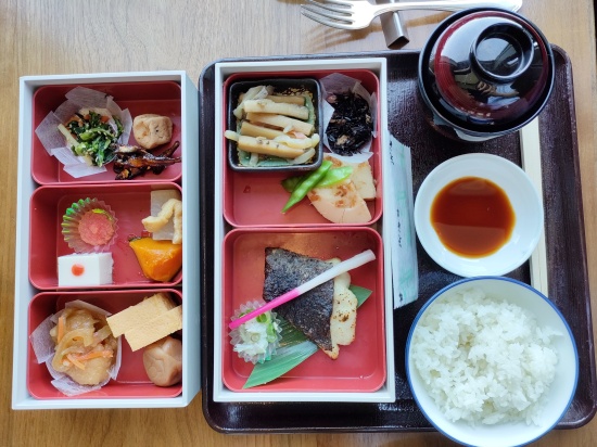 grand_nikko_daiba_breakfast_washoku