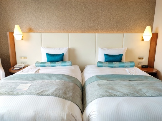 grand_nikko_daiba_clubfloor_beds