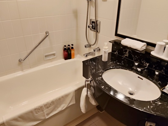 morioka.metropolitan_bathroom