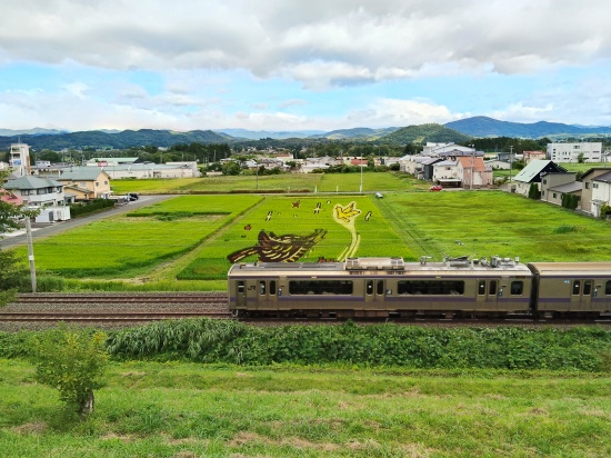 yawata_tanbo_art_train