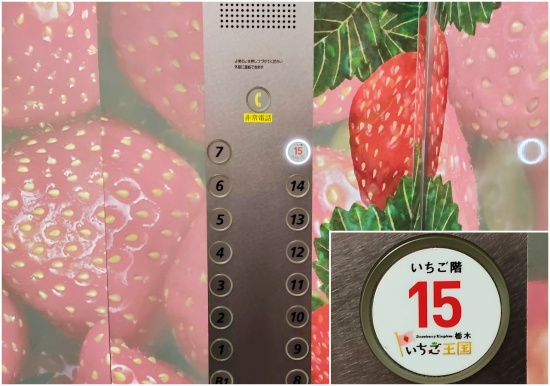 tochigi_prefectural_office_lift